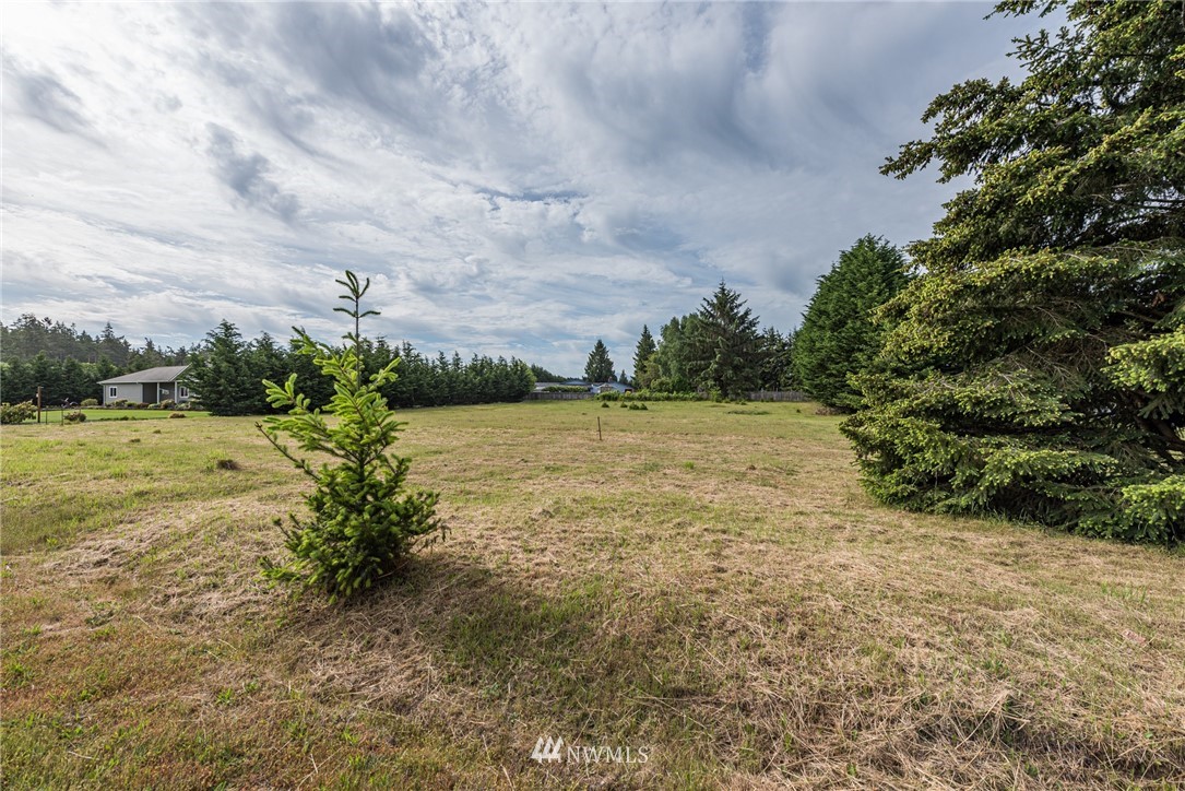0 Klahhane Road Sequim, WA 98382 - Photo 17 of 19
