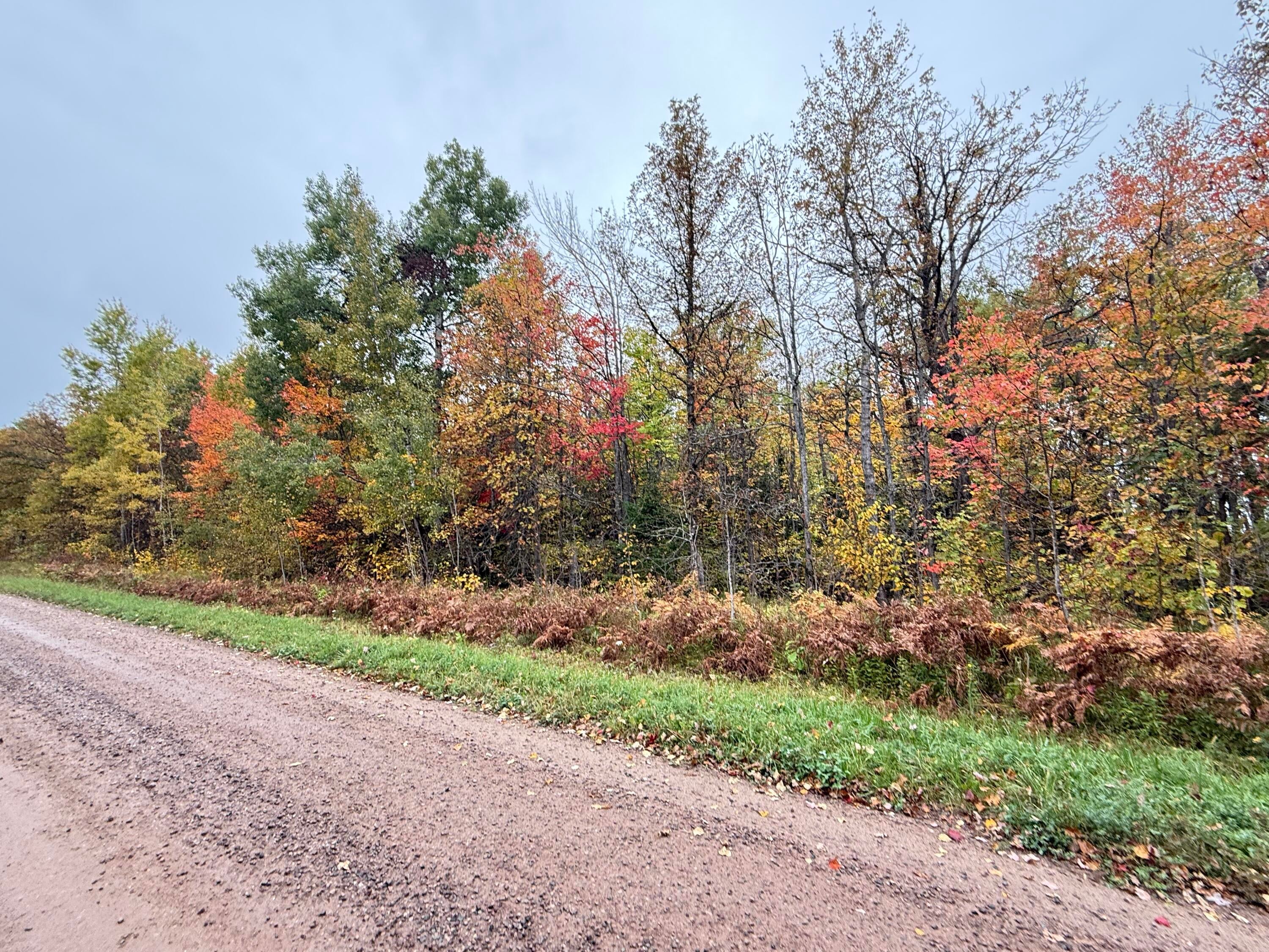 Tbd South Ridge Road Dafter, MI 49724 - Photo 5 of 5 Gallery Image 5