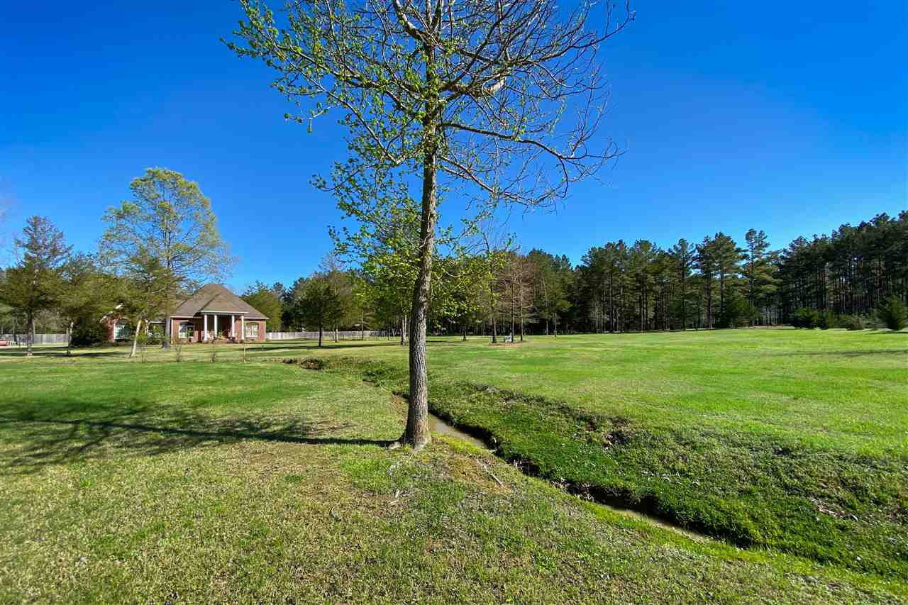 162 Anderson Sta Road Flora, MS 39071 - Photo 42 of 50 Photo 42