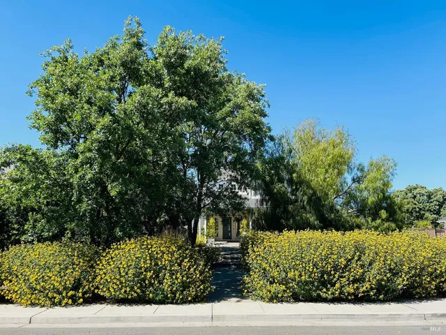 $19,000 | 230 Newcomb Street, Sonoma, CA 95476