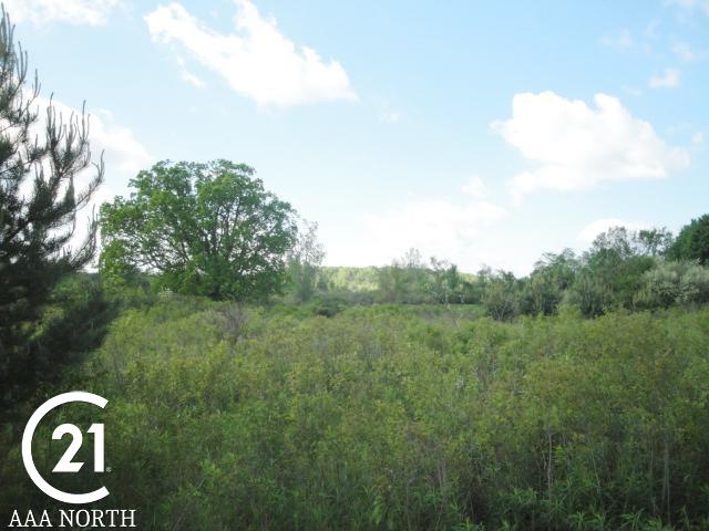 0 Pine Knoll Road Capac, MI 48014 - Photo 3 of 7