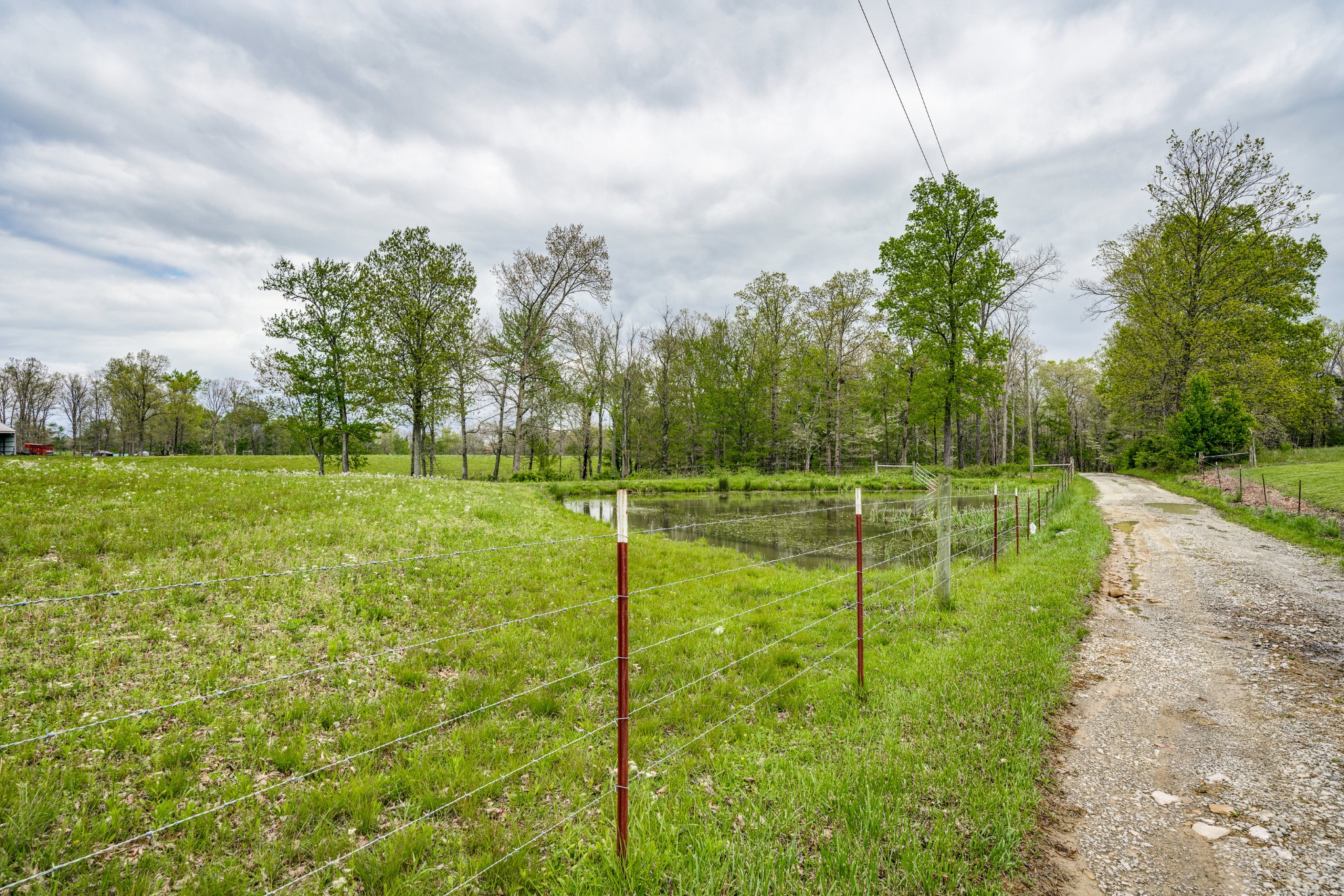0 Lloyd Hall Loop Deer Lodge, TN 37726 - Photo 26 of 46 a view of a golf course with a lake