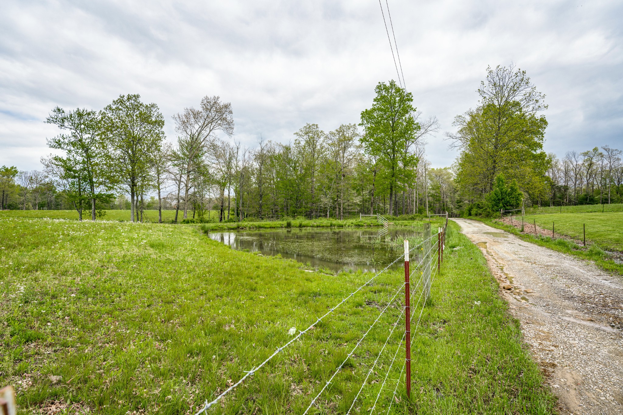 0 Lloyd Hall Loop Deer Lodge, TN 37726 - Photo 27 of 46 a view of a park