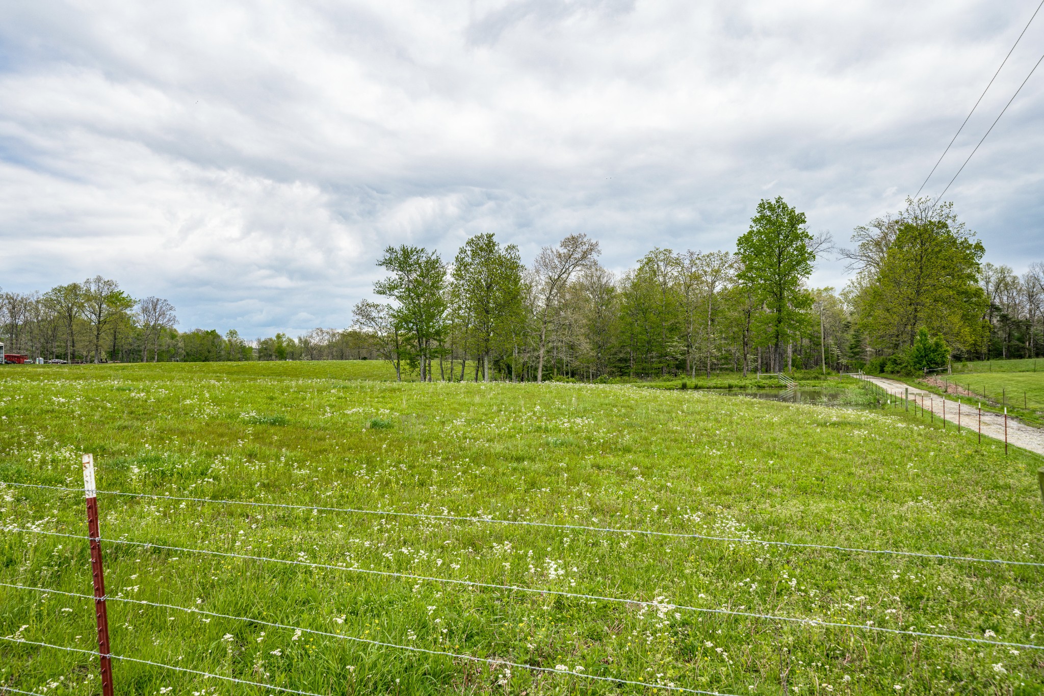 0 Lloyd Hall Loop Deer Lodge, TN 37726 - Photo 28 of 46 a view of a city