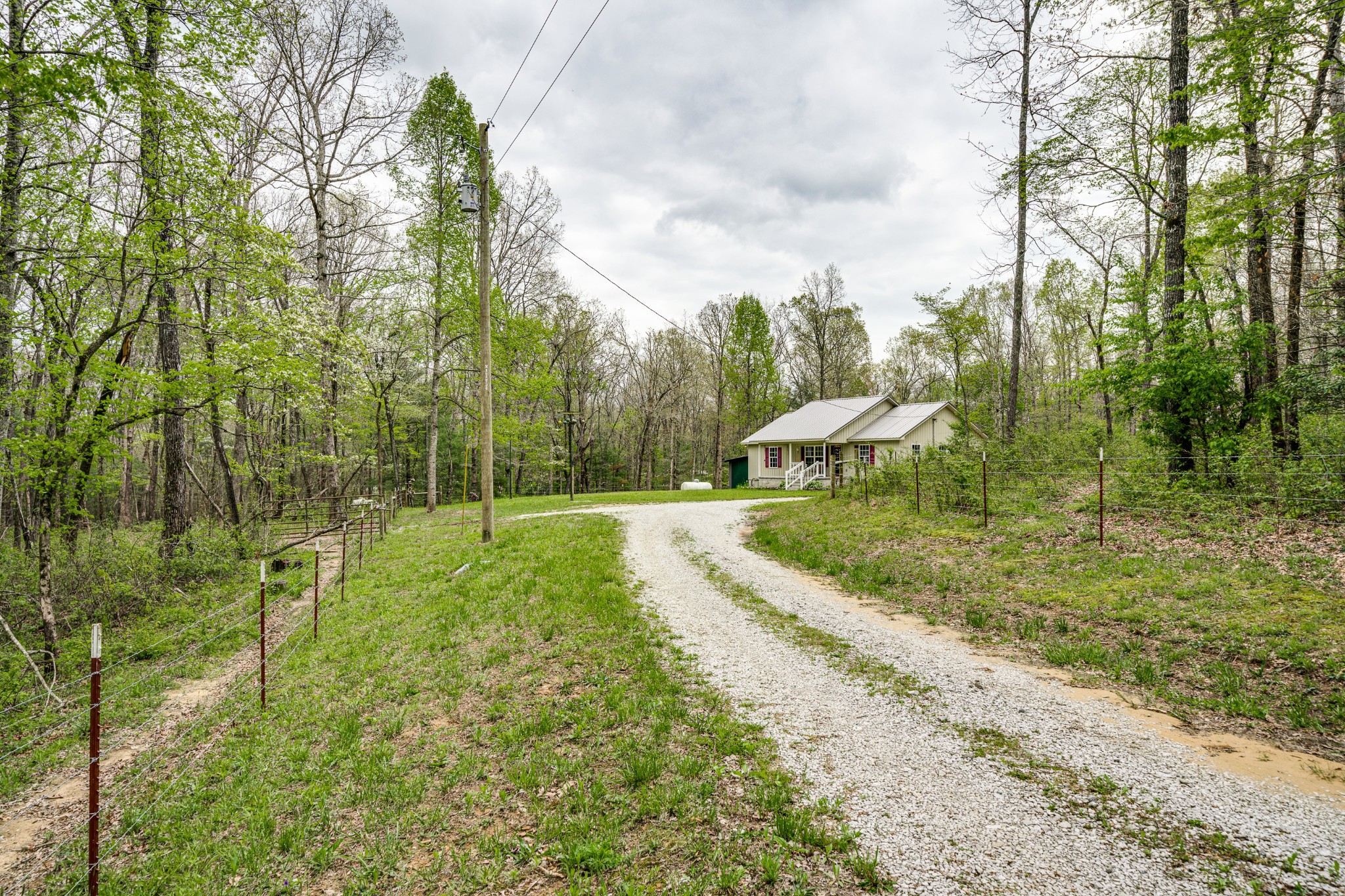 0 Lloyd Hall Loop Deer Lodge, TN 37726 - Photo 29 of 46 a view of a garden with an outdoor space
