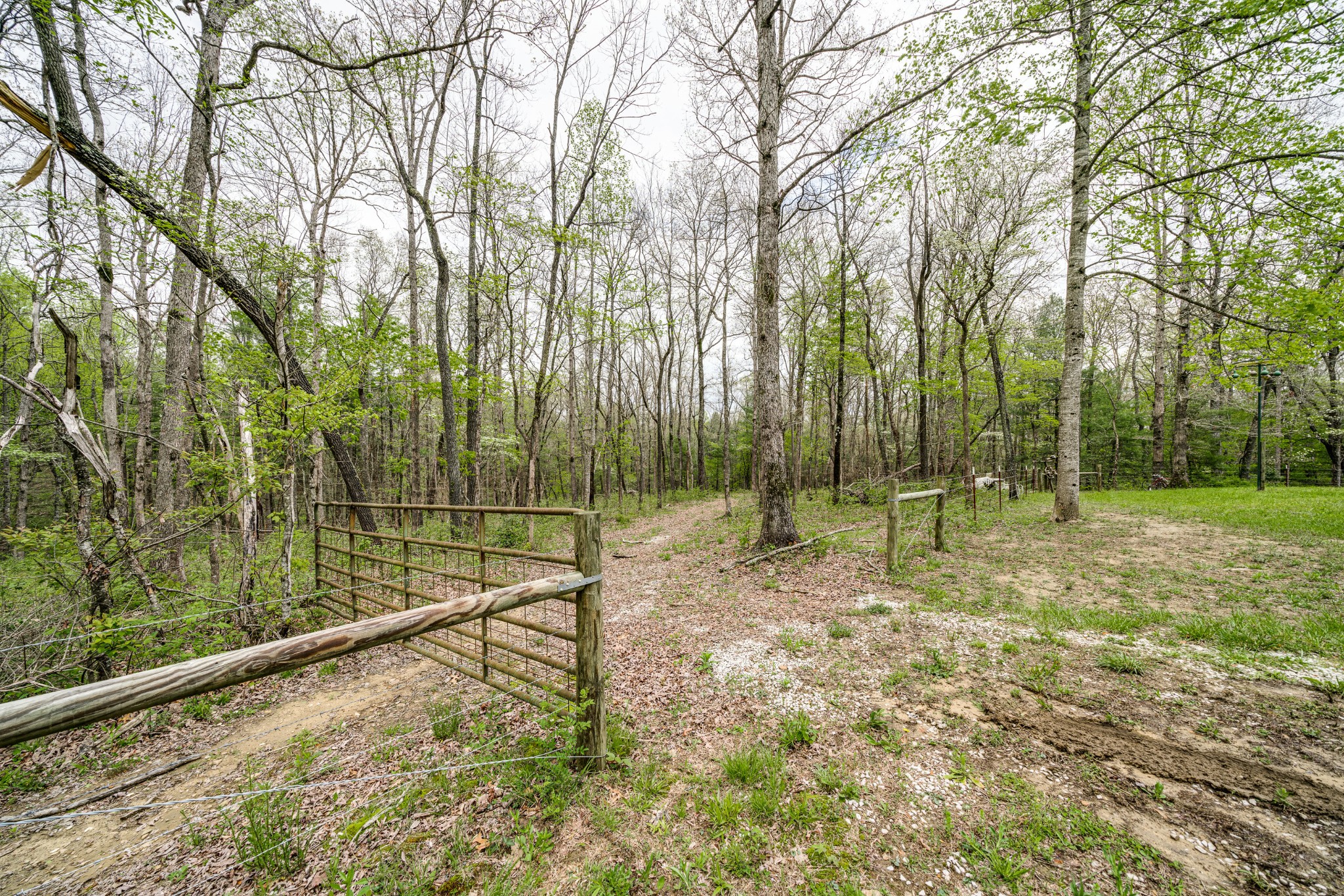 0 Lloyd Hall Loop Deer Lodge, TN 37726 - Photo 30 of 46 a view of a backyard