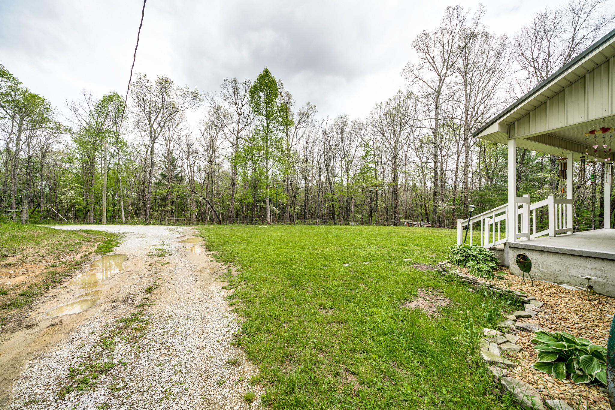 0 Lloyd Hall Loop Deer Lodge, TN 37726 - Photo 33 of 46 a view of a park with large trees
