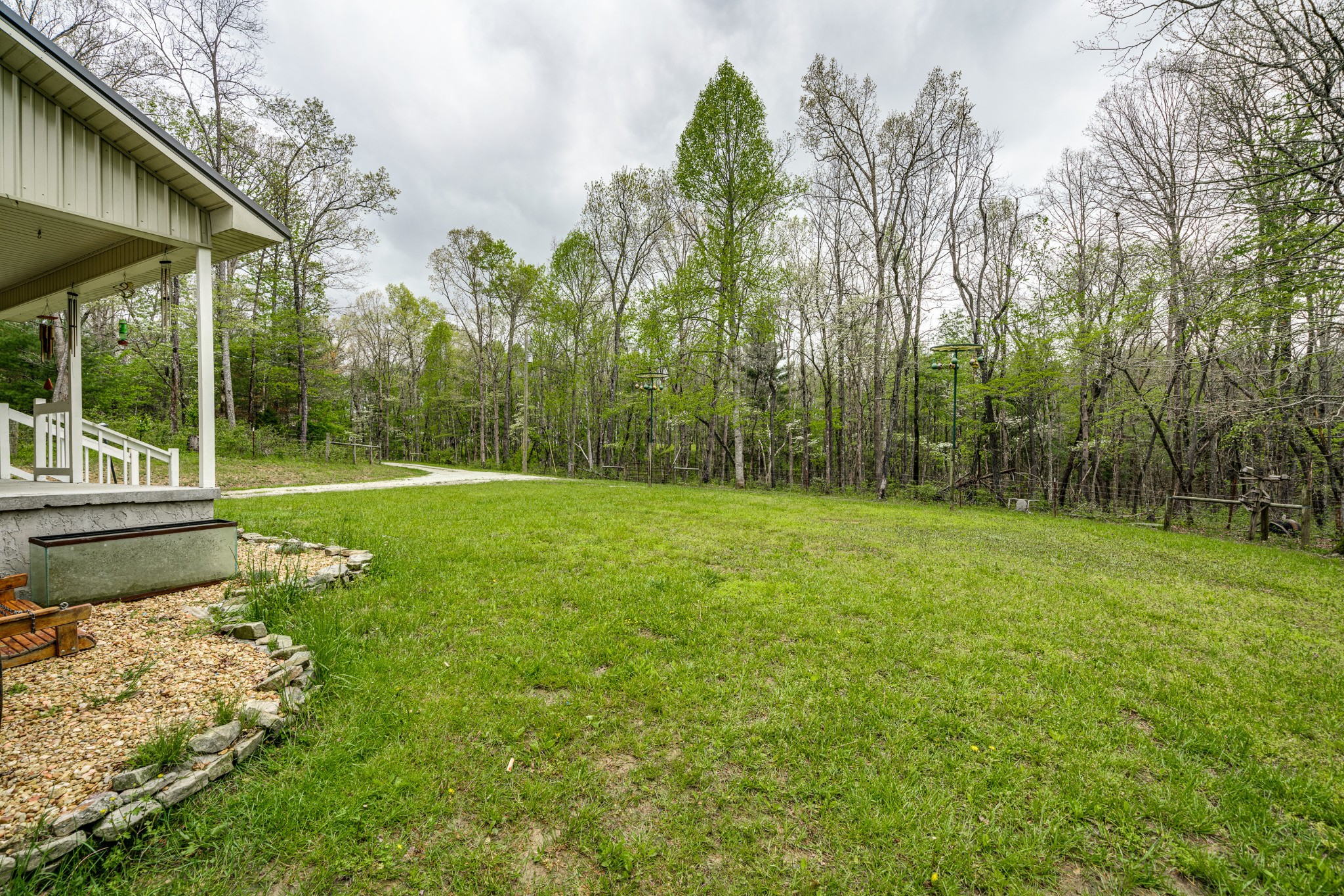 0 Lloyd Hall Loop Deer Lodge, TN 37726 - Photo 37 of 46 a view of a park with large trees