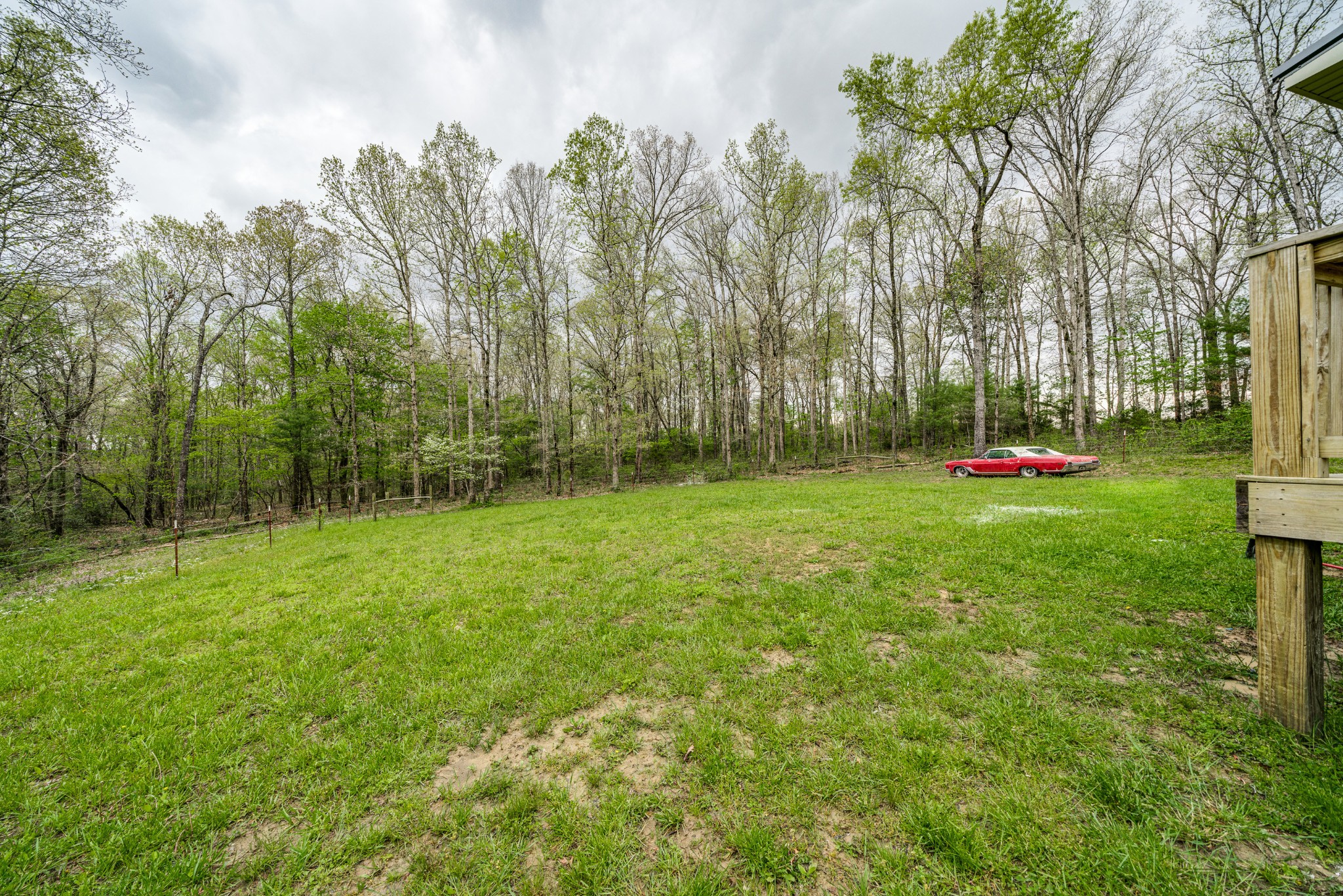 0 Lloyd Hall Loop Deer Lodge, TN 37726 - Photo 38 of 46 a garden with trees in front of it
