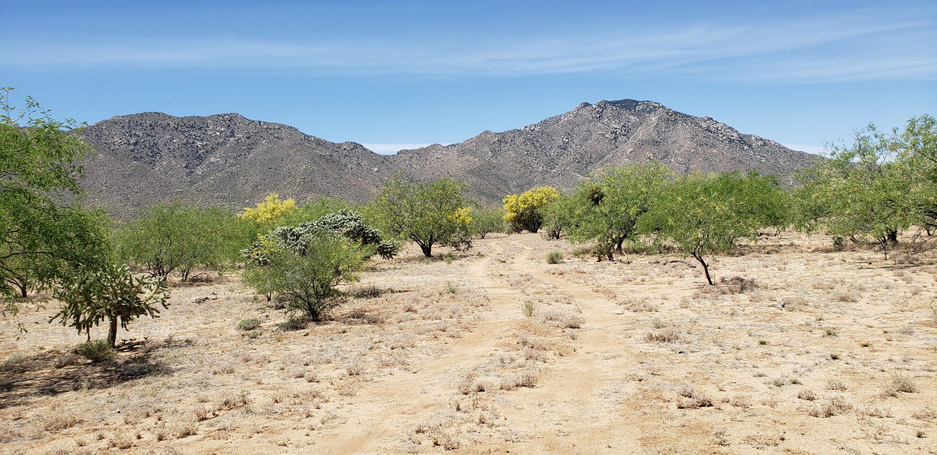 23400 West Ressie Road, Unit 98 Tucson, AZ 85735 - Photo 9 of 36