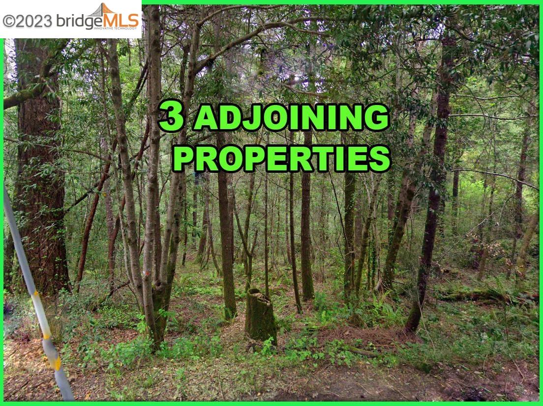 a green field with lots of trees