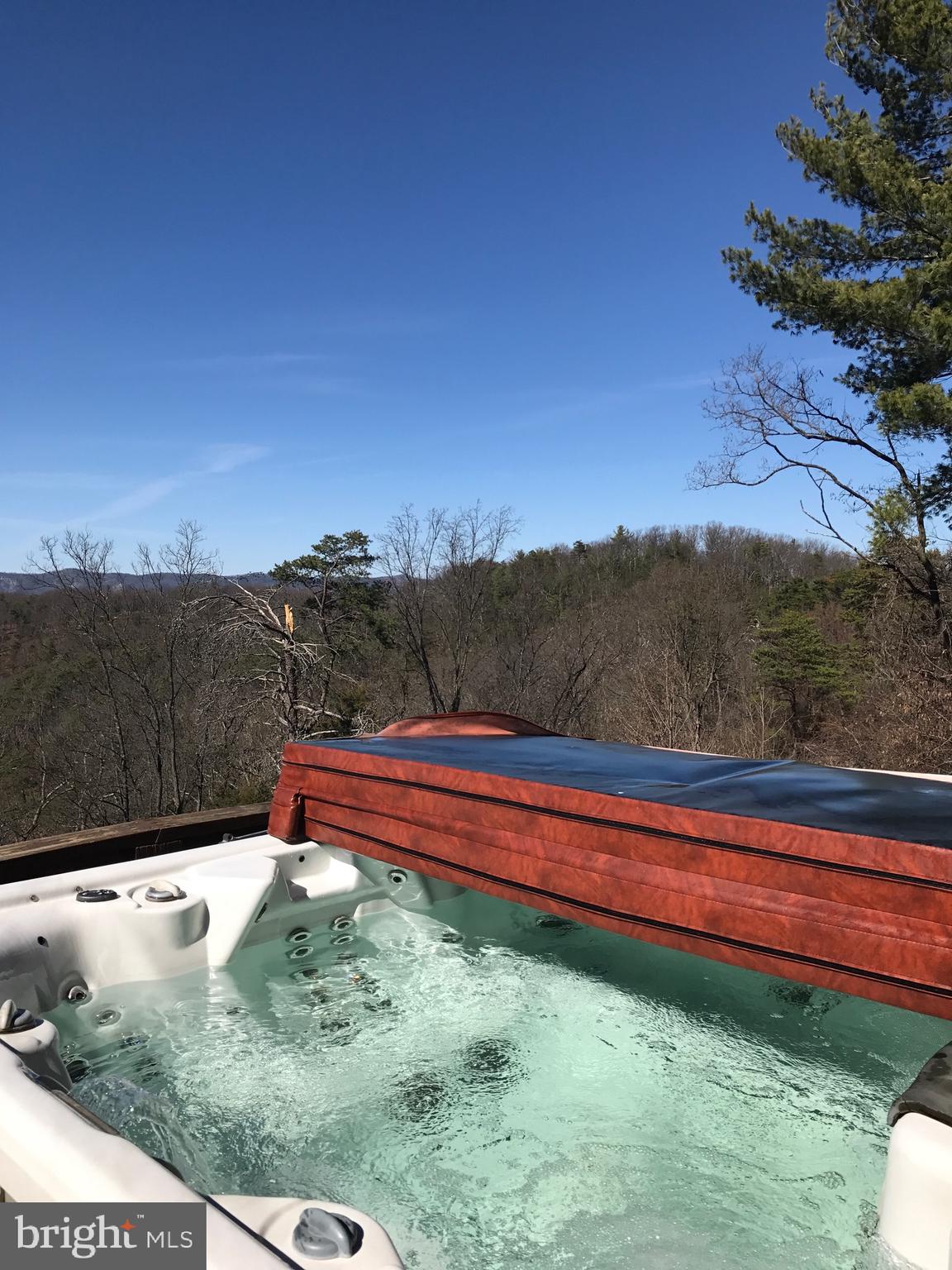 205 Meadow Hill Lane Rileyville, VA 22650 - Photo 23 of 53