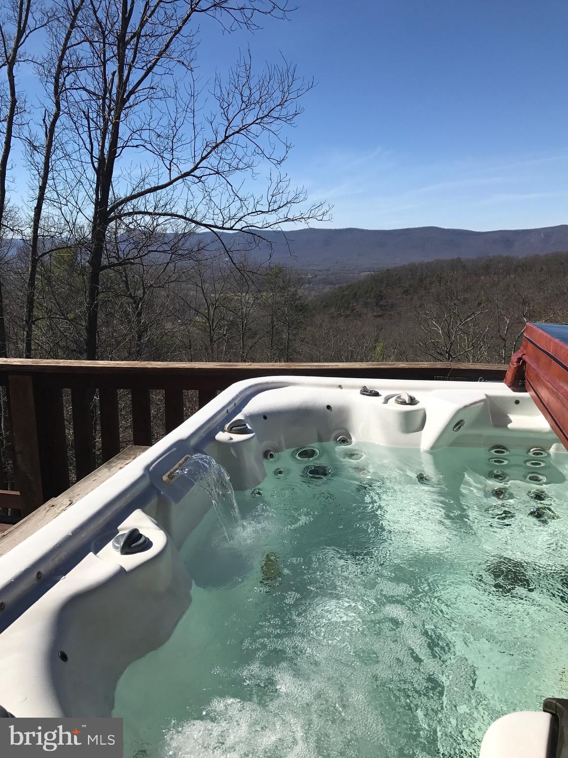 205 Meadow Hill Lane Rileyville, VA 22650 - Photo 24 of 53 a view from balcony