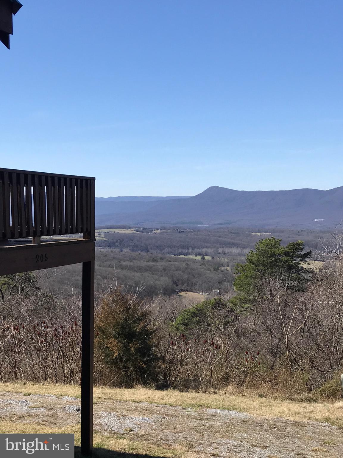 205 Meadow Hill Lane Rileyville, VA 22650 - Photo 42 of 53