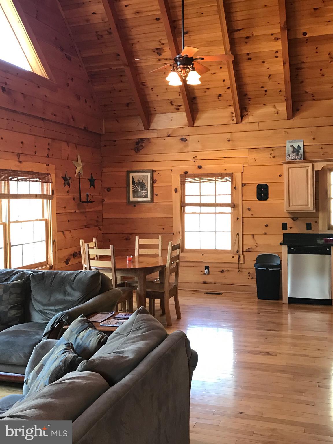 205 Meadow Hill Lane Rileyville, VA 22650 - Photo 50 of 53 a living room with furniture and fireplace