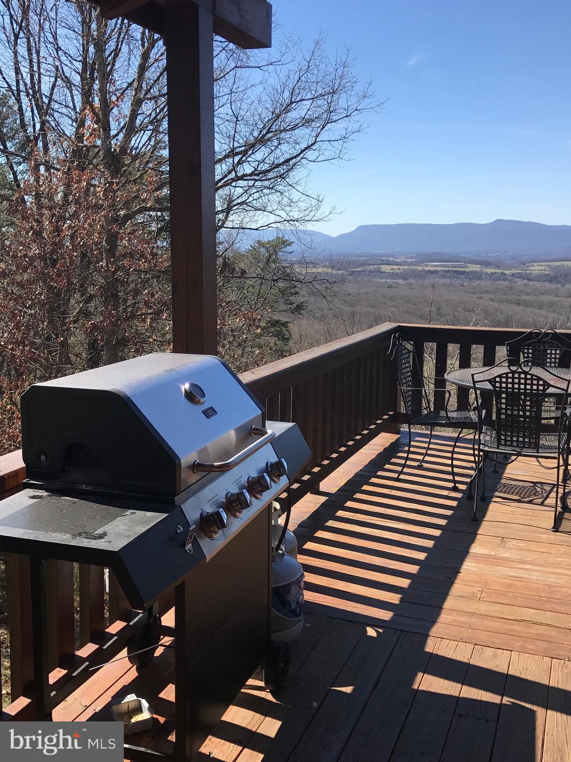 205 Meadow Hill Lane Rileyville, VA 22650 - Photo 51 of 53 a view of a patio with wooden floor and yard