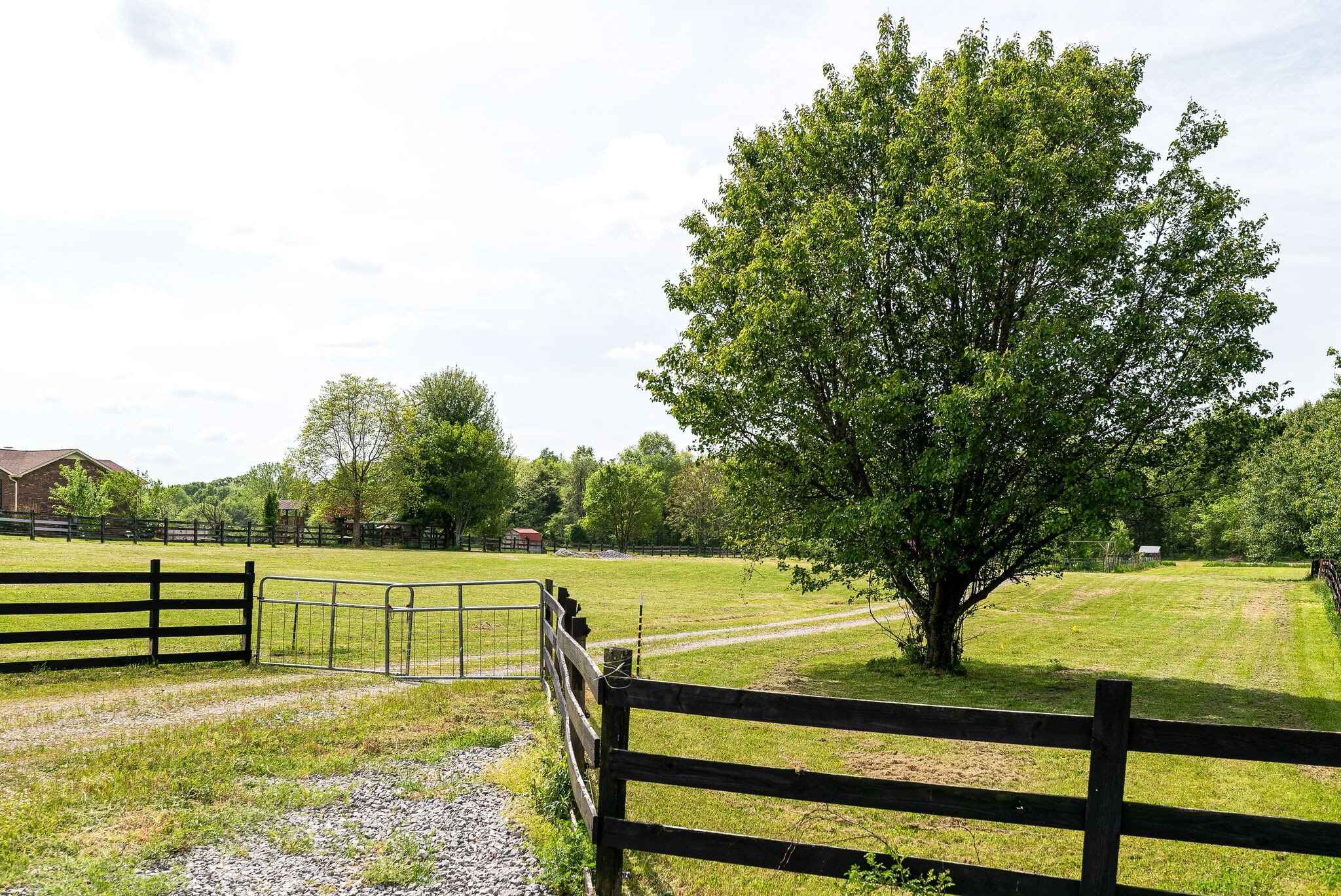 860 Philadelphia Road Lebanon, TN 37087 - Photo 5 of 28 a view of a yard with wooden fence