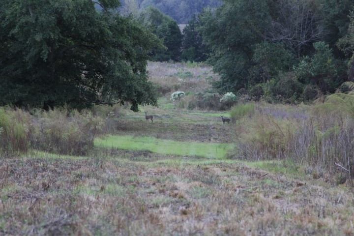 1000 Pocahontas Road Jackson, MS 39213 - Photo 1 of 39 Photo 1