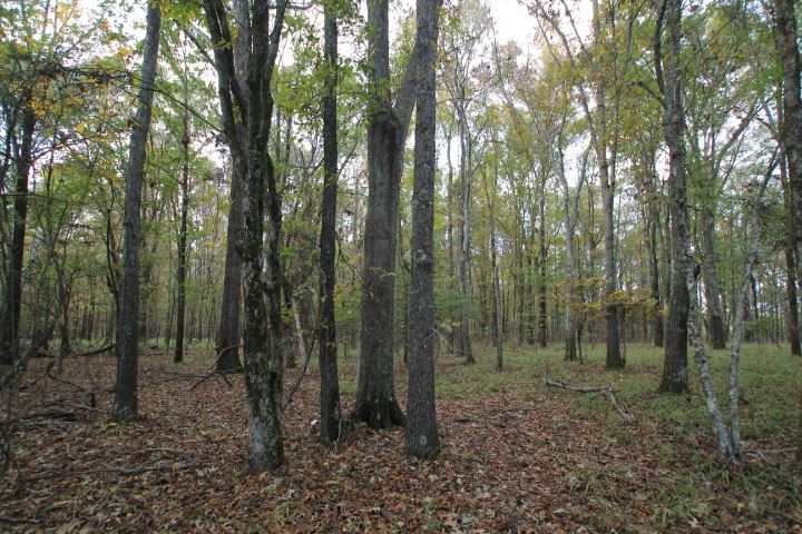 1000 Pocahontas Road Jackson, MS 39213 - Photo 11 of 39 Photo 11