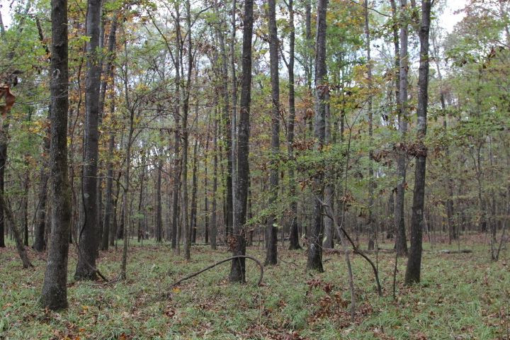 1000 Pocahontas Road Jackson, MS 39213 - Photo 12 of 39 Photo 12