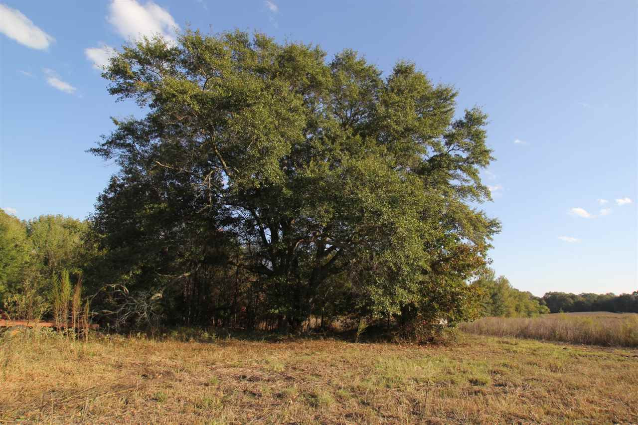 1000 Pocahontas Road Jackson, MS 39213 - Photo 14 of 39 Photo 14
