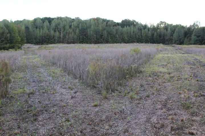 1000 Pocahontas Road Jackson, MS 39213 - Photo 15 of 39 Photo 15