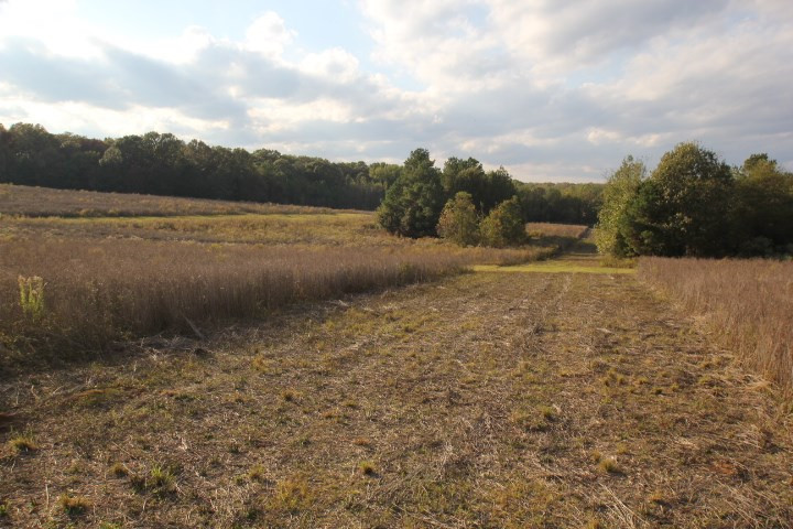 1000 Pocahontas Road Jackson, MS 39213 - Photo 16 of 39 Photo 16