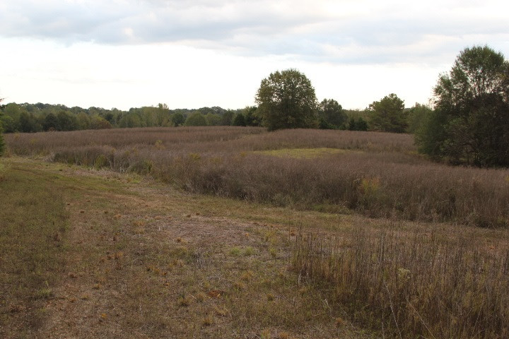 1000 Pocahontas Road Jackson, MS 39213 - Photo 17 of 39 Photo 17