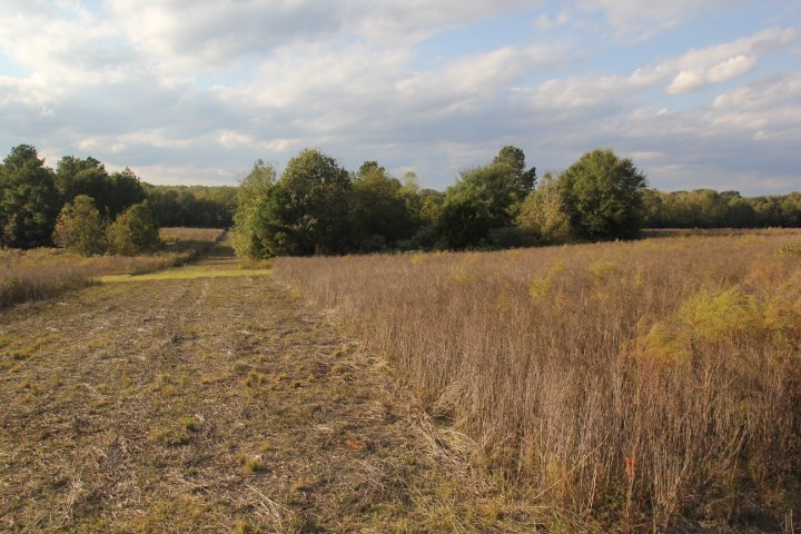 1000 Pocahontas Road Jackson, MS 39213 - Photo 18 of 39 Photo 18