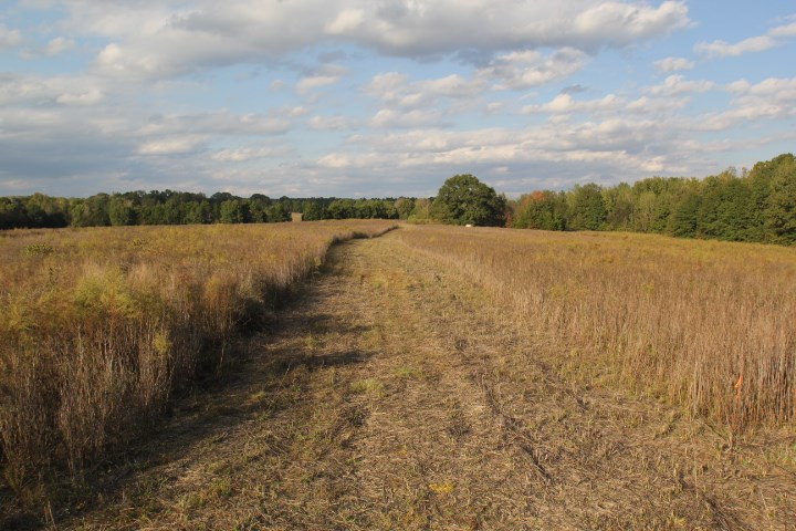 1000 Pocahontas Road Jackson, MS 39213 - Photo 19 of 39 Photo 19