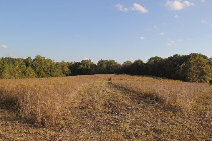 1000 Pocahontas Road Jackson, MS 39213 - Photo 20 of 39 Photo 20