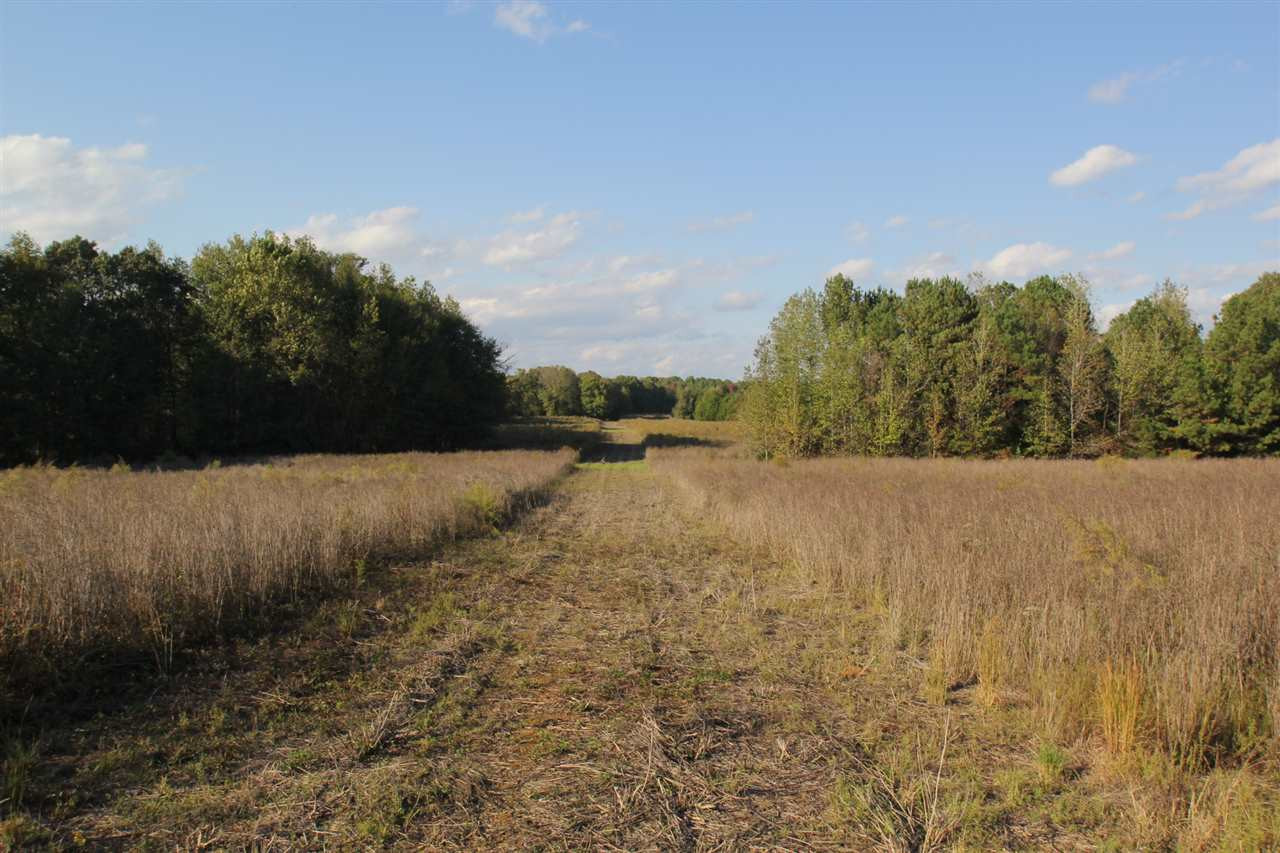 1000 Pocahontas Road Jackson, MS 39213 - Photo 2 of 39 Photo 2