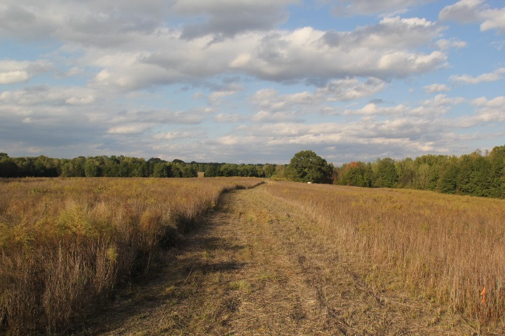 1000 Pocahontas Road Jackson, MS 39213 - Photo 21 of 39 Photo 21