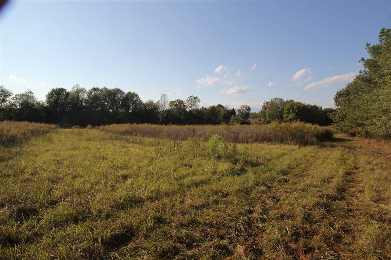 1000 Pocahontas Road Jackson, MS 39213 - Photo 22 of 39 Photo 22