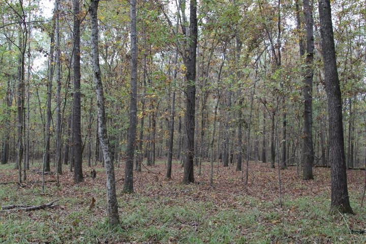 1000 Pocahontas Road Jackson, MS 39213 - Photo 23 of 39 Photo 23