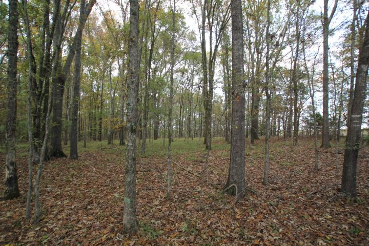 1000 Pocahontas Road Jackson, MS 39213 - Photo 24 of 39 Photo 24