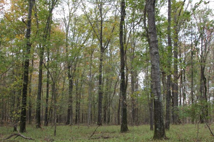 1000 Pocahontas Road Jackson, MS 39213 - Photo 25 of 39 Photo 25