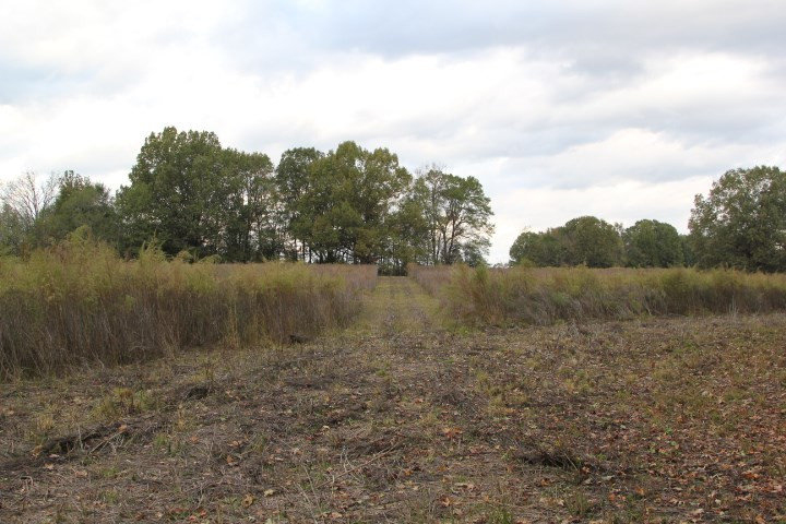 1000 Pocahontas Road Jackson, MS 39213 - Photo 26 of 39 Photo 26