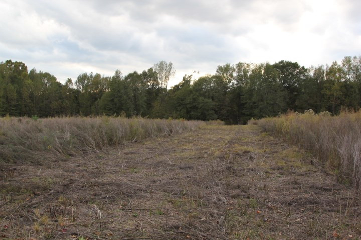 1000 Pocahontas Road Jackson, MS 39213 - Photo 27 of 39 Photo 27