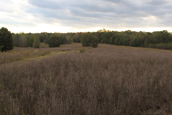 1000 Pocahontas Road Jackson, MS 39213 - Photo 28 of 39 Photo 28