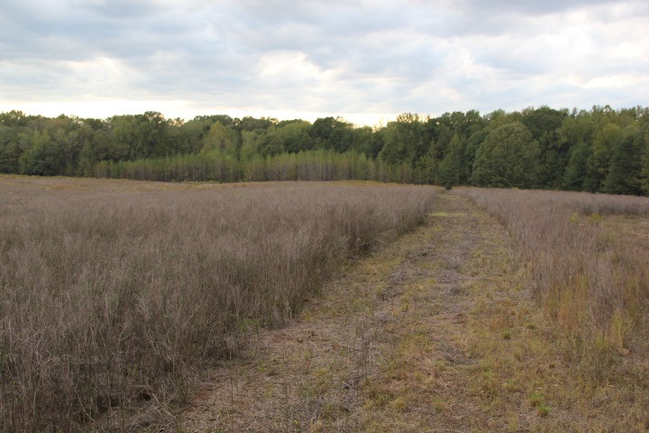 1000 Pocahontas Road Jackson, MS 39213 - Photo 29 of 39 Photo 29