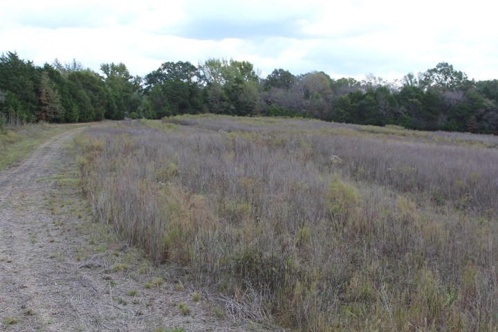 1000 Pocahontas Road Jackson, MS 39213 - Photo 30 of 39 Photo 30