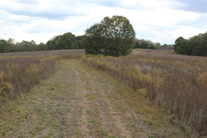 1000 Pocahontas Road Jackson, MS 39213 - Photo 3 of 39 Photo 3