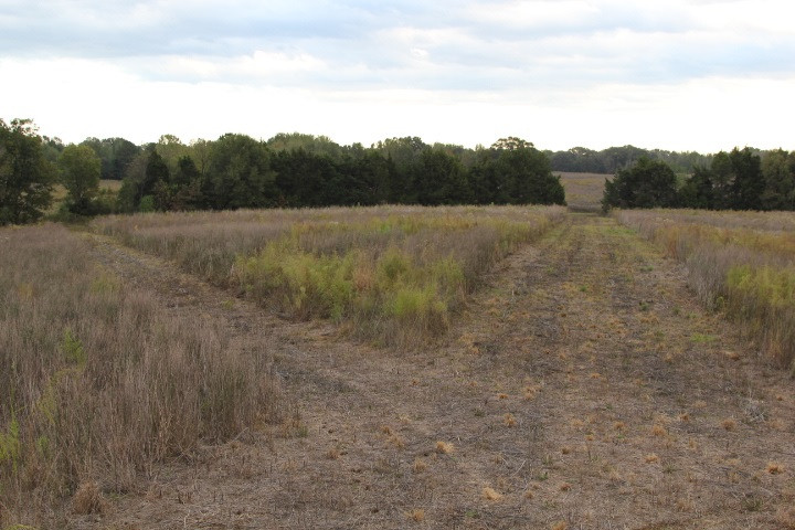1000 Pocahontas Road Jackson, MS 39213 - Photo 31 of 39 Photo 31