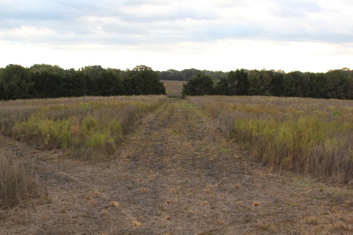 1000 Pocahontas Road Jackson, MS 39213 - Photo 32 of 39 Photo 32