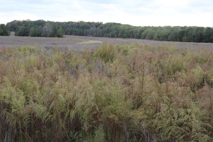 1000 Pocahontas Road Jackson, MS 39213 - Photo 33 of 39 Photo 33