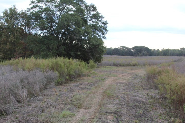 1000 Pocahontas Road Jackson, MS 39213 - Photo 34 of 39 Photo 34
