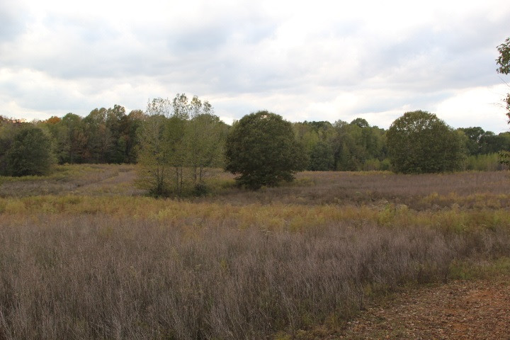 1000 Pocahontas Road Jackson, MS 39213 - Photo 4 of 39 Photo 4