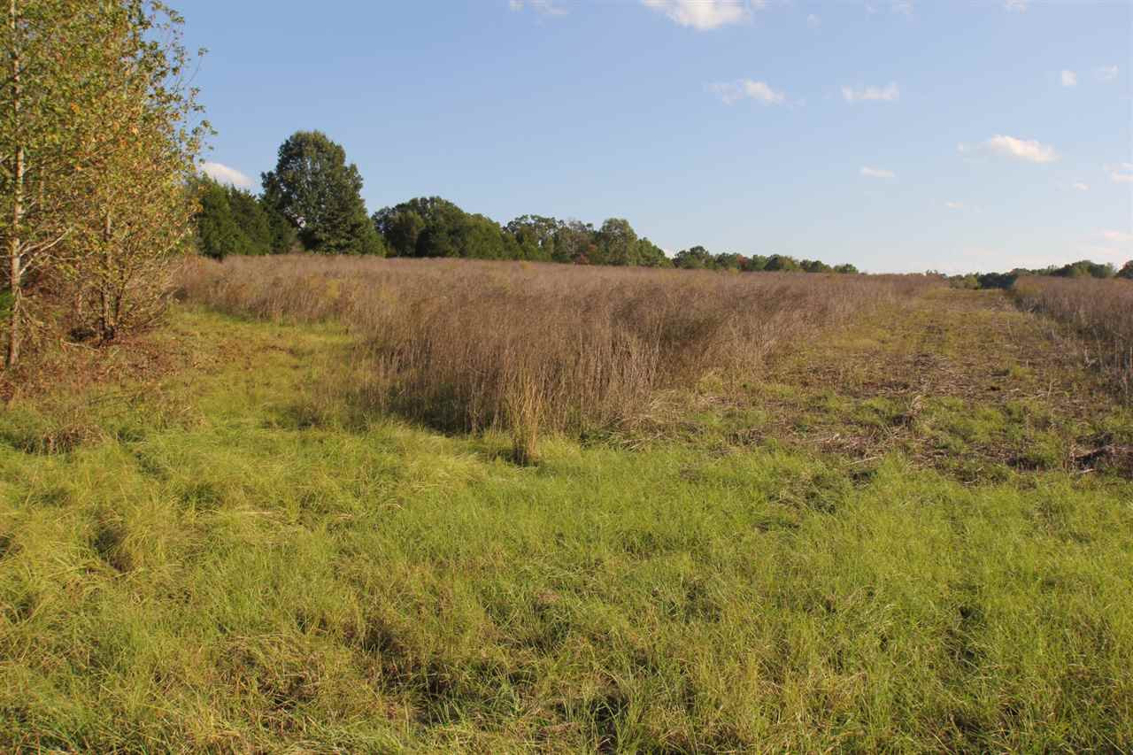 1000 Pocahontas Road Jackson, MS 39213 - Photo 5 of 39 Photo 5