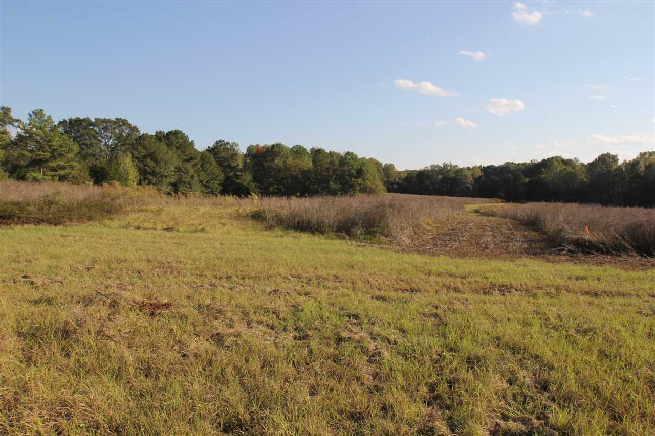 1000 Pocahontas Road Jackson, MS 39213 - Photo 7 of 39 Photo 7